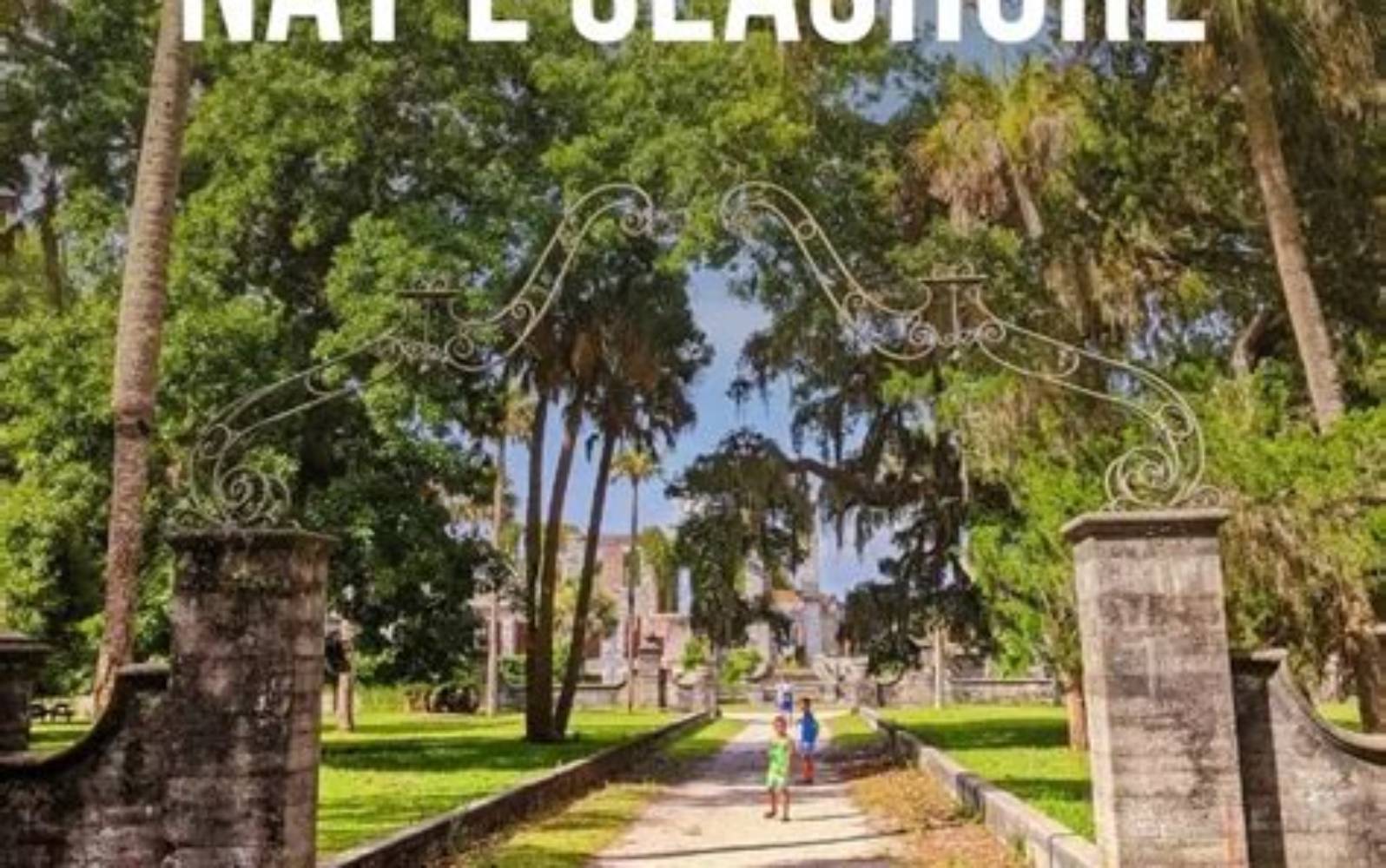 Cumberland Island travel view 2