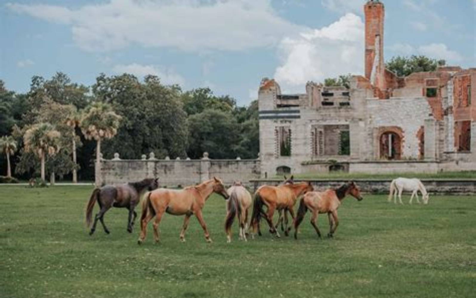 Cumberland Island travel view 3